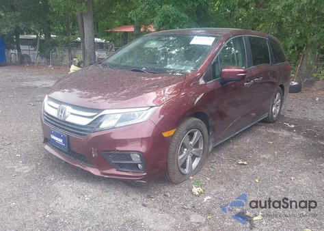 2019 Honda Odyssey Ex-L z USA, uszkodzony, nr VIN 5FNRL6H78KB024280